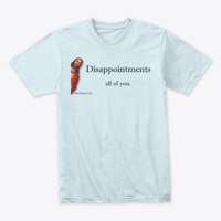 Image 6 of DISAPPOINTMENTS ~ ALL OF YOU TEE