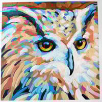 Great Horned Owl 
