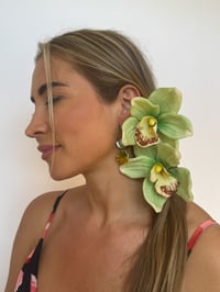Image 3 of melon abalone earrings