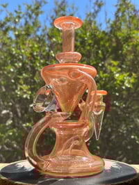 Image 3 of Bushaglass Full Color Recycler