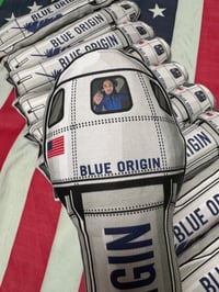 Image 2 of Blue Origin 15 in. Catnip Kicker