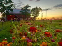 Monday, August 11th, 2025- The Wildflower Farm- Retainer ONLY 
