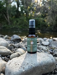 Image 3 of Gift from Eden Skin Care Collection