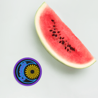 Image 5 of Cosmix Pledge Patches