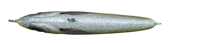 Image 3 of 80g Gold Glittered Floating Stick Bait