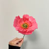 Paper Florals Workshop: Icelandic Poppies with Jessica - Saturday, 5/17 from 10:30AM-12PM