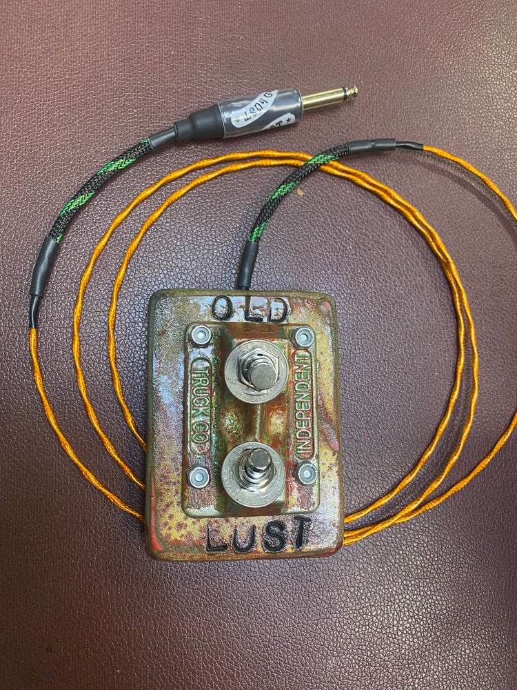 Image of Inde Switch / chameleon