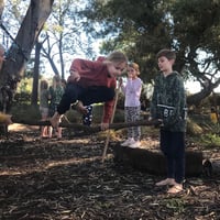 Image 3 of WARRIOR BOYS