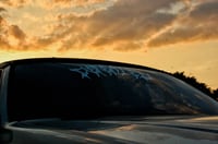 Image 5 of Photography Session