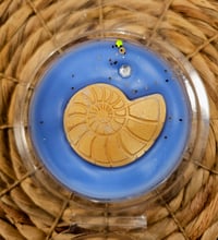 Image 14 of Coconut Cottage - A Rockytop Wax Works exclusive custom houseblend fragrance 