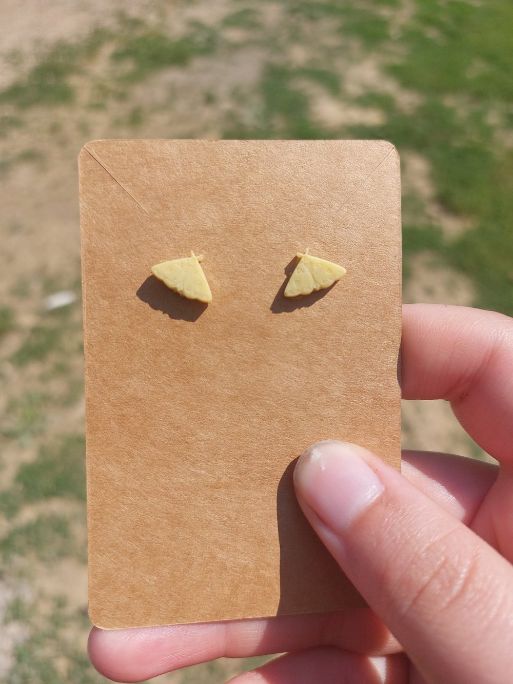 Resin Moth Earrings
