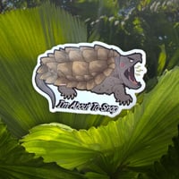 Image 1 of Snapping Turtle Stickers