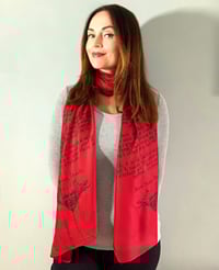 Image 2 of Dracula Vampire Scarf – Gothic Red Long Literary Scarf with Bram Stoker Print