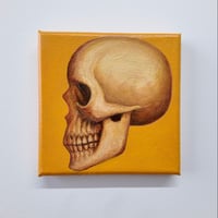 Skull Study 1, Original Art 