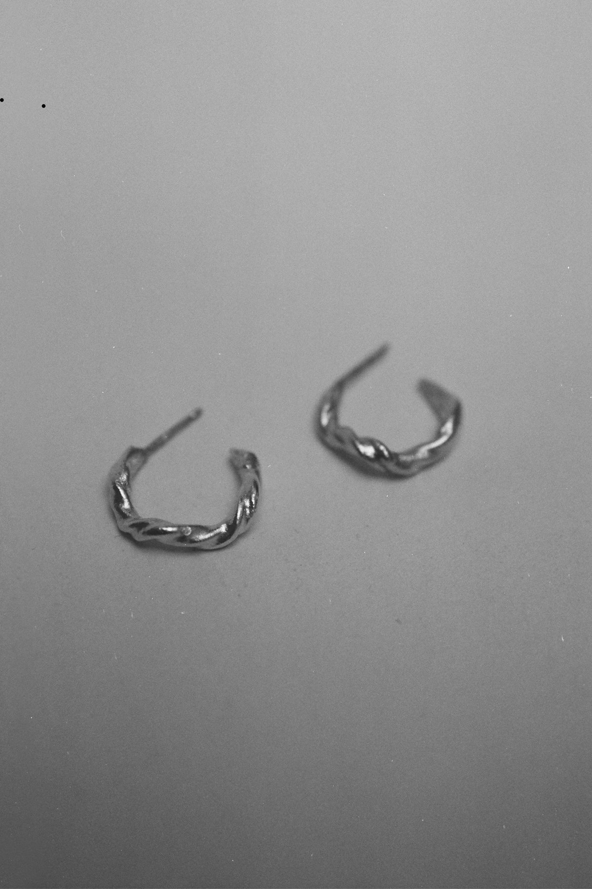 Image of Edition 5. Piece 8. Earrings