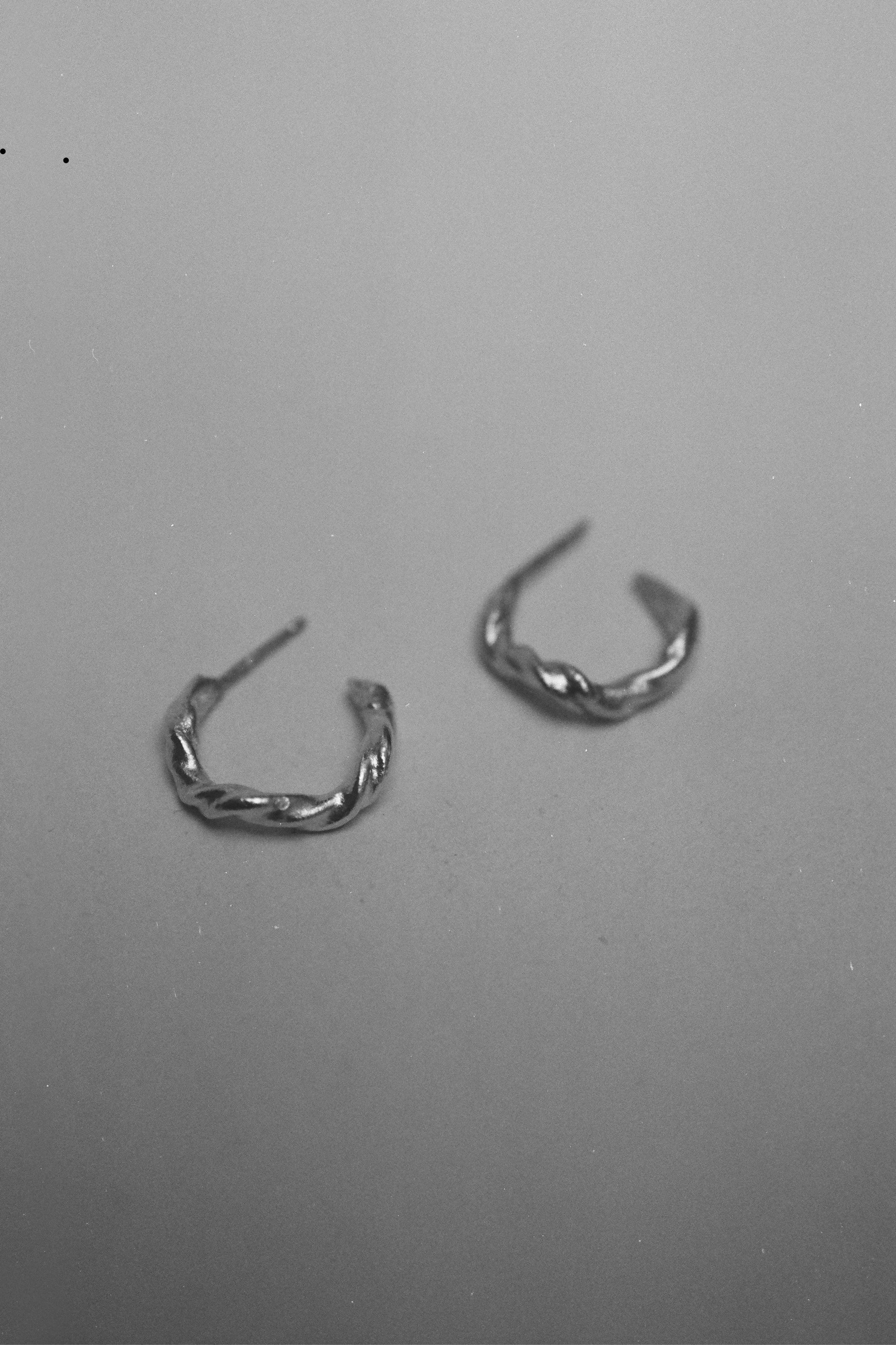 Image of Edition 5. Piece 8. Earrings 
