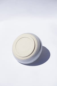 Image 2 of Regular Powl