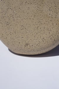 Image 2 of Toasted Dish