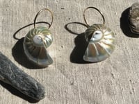 Image 3 of Nauti Earrings