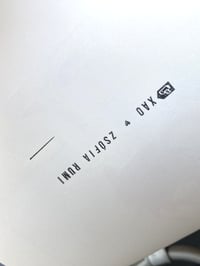 Image 4 of The Vitamin Thief