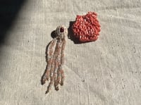 Image 3 of Opihi Earring