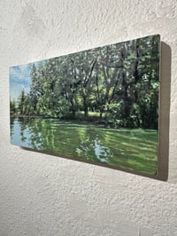 Image 2 of Guadalupe River 