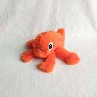 Image 1 of Le Poisson Steve