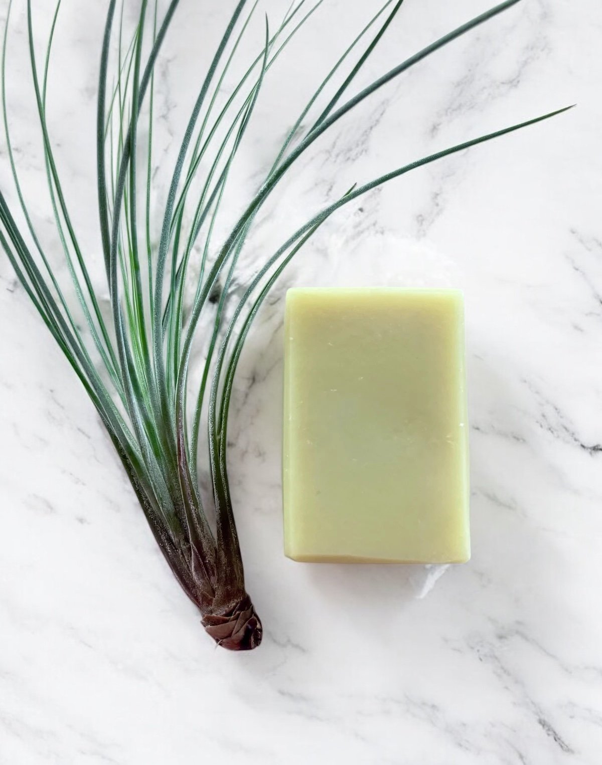 Image of Baby Bastille Bar