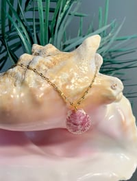 Image 2 of Pink + White Scallop Shell Necklace N112