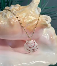 Image 1 of White + Pink Scallop Shell Necklace N111