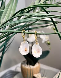Image 1 of Oyster Shell Earrings E109