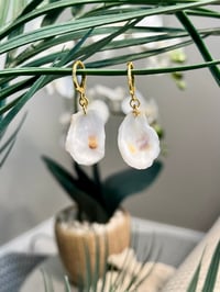 Image 2 of Oyster Shell Earrings E109