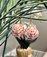 Image 2 of Pink + White Scallop Earrings E108
