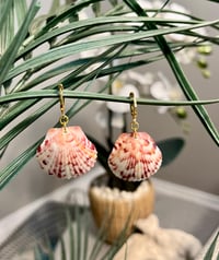 Image 2 of Pink, White + Touch of Yellow Scallop Earrings E107