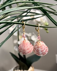 Image 1 of Pink Scallop with Pink Crystal Earrings E106