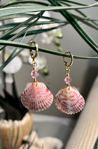 Image 2 of Pink Scallop with Pink Crystal Earrings E106