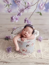 Image 3 of  Newborn Only Session's payment balance 
