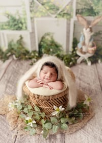 Image 4 of  Newborn Only Session's payment balance 