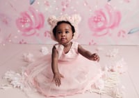 Image 1 of Baby/Kid(3months old and up) Only Session 's payment balance 