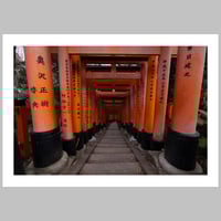 Senbon Torii 