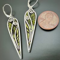 Image 3 of Fiddlehead Slender Leaves