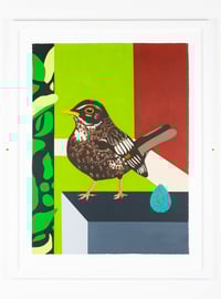 Image 1 of Female Blackbird