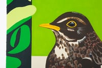 Image 2 of Female Blackbird