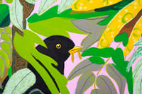 Image 3 of Blackbirds in the Mahonia