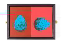 Image 1 of Blackbird Eggs