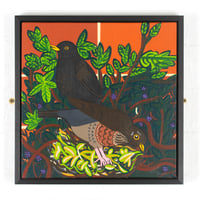 Image 1 of Nesting Blackbirds