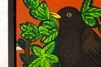 Image 3 of Nesting Blackbirds