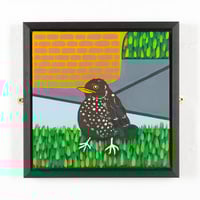 Image 1 of Fledgling Blackbird