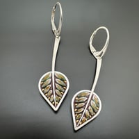 Image 1 of Succulent Long Leaves