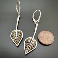 Image 2 of Succulent Long Leaves